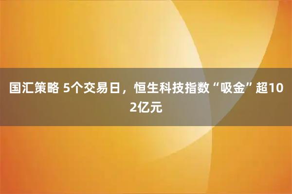 国汇策略 5个交易日，恒生科技指数“吸金”超102亿元
